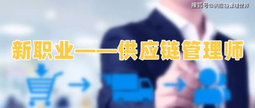 认识供应链管理师 现代商业运营的关键角色